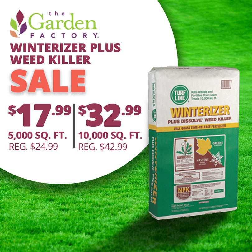 GF25_WinterizerWeed
