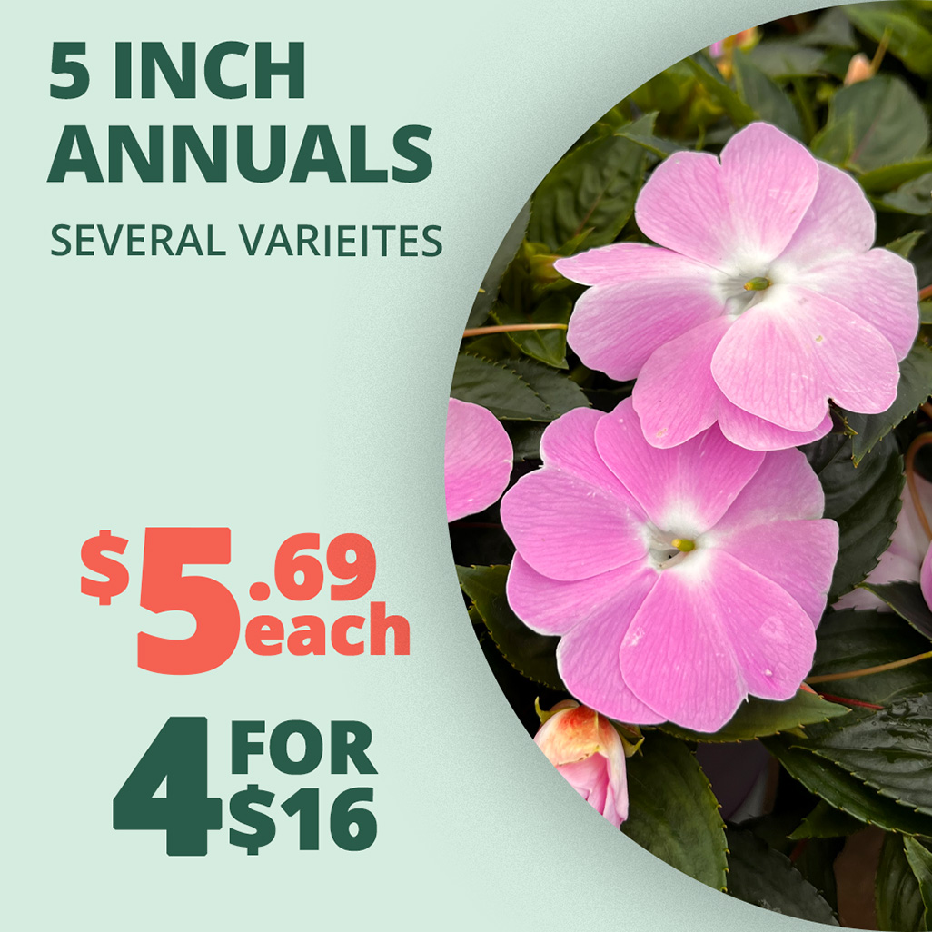 GF2_5_inch_Annual_1