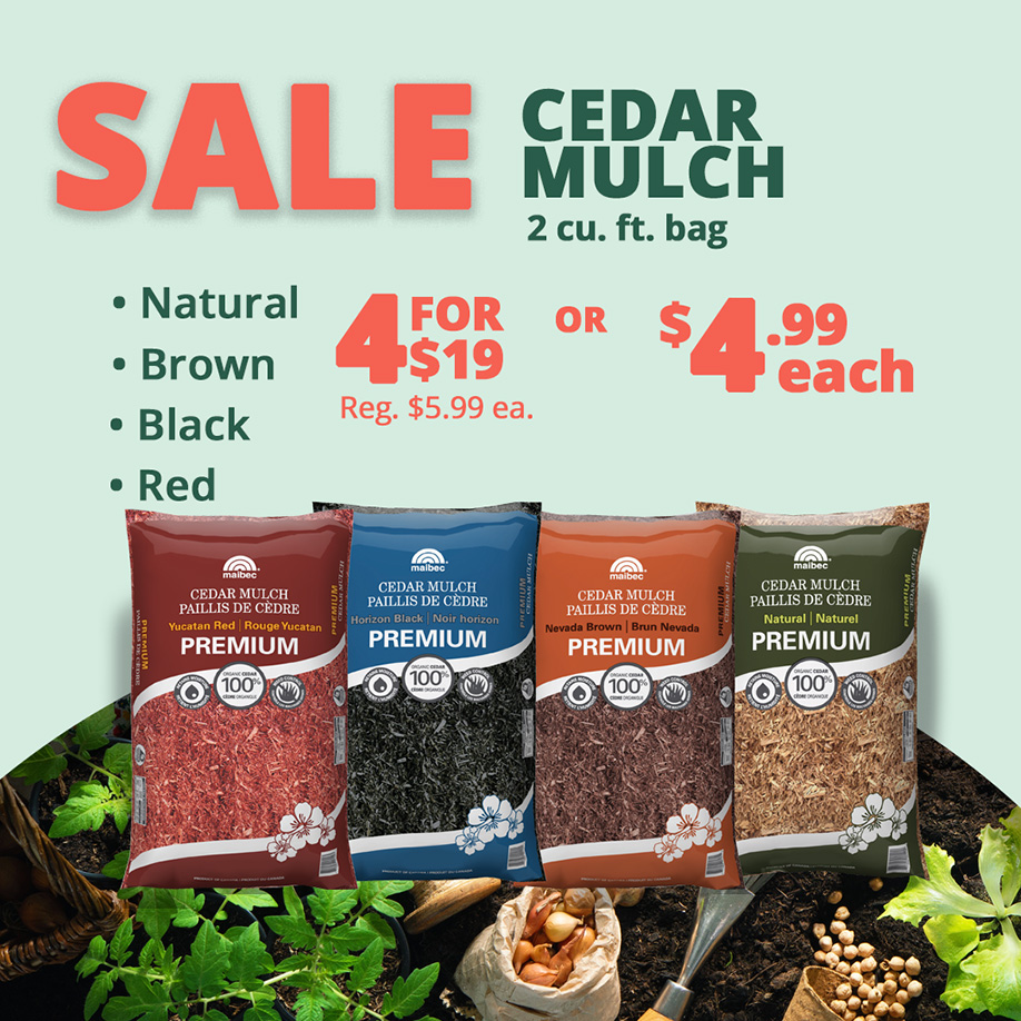 GF26_CedarMulch