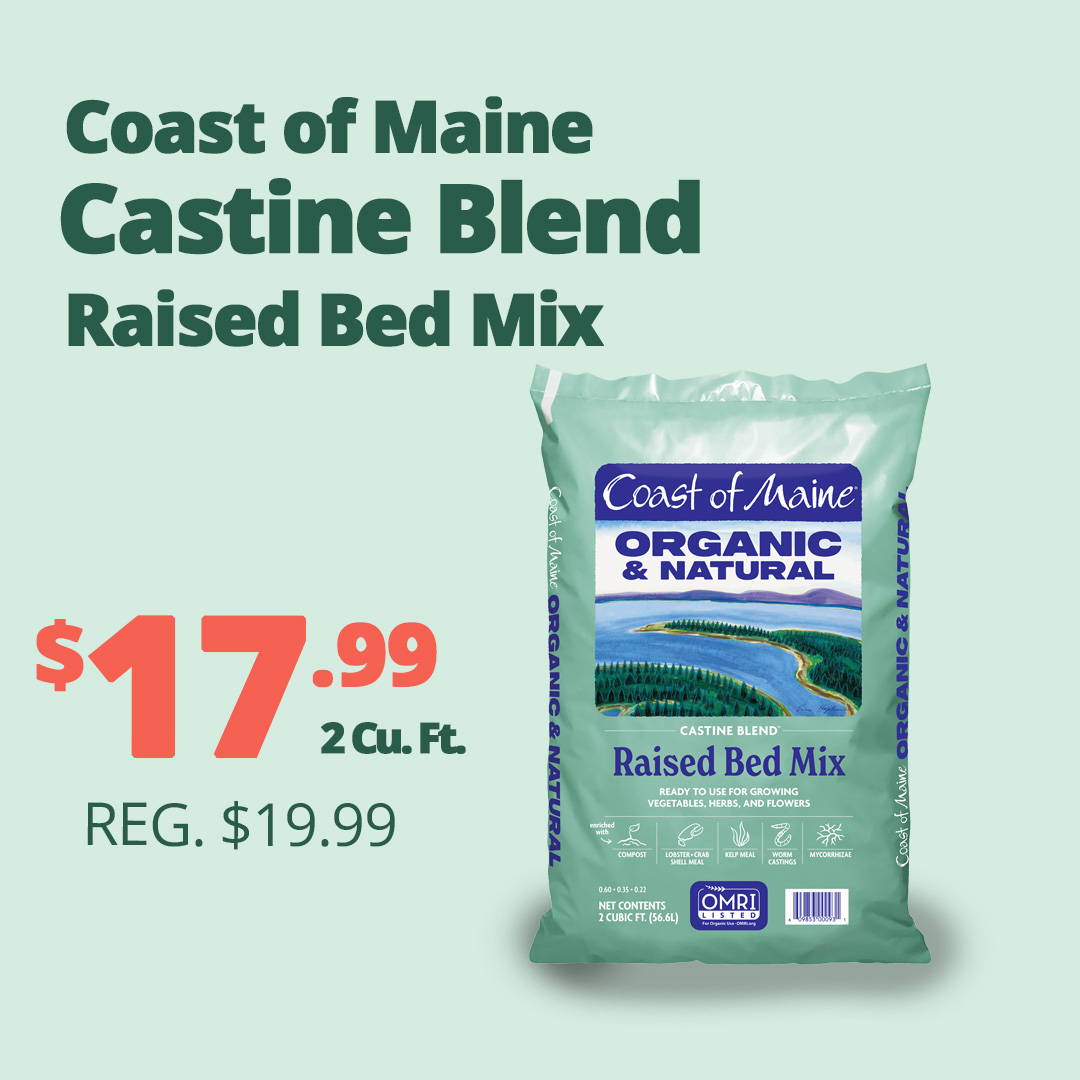 GF26_CoastRaised