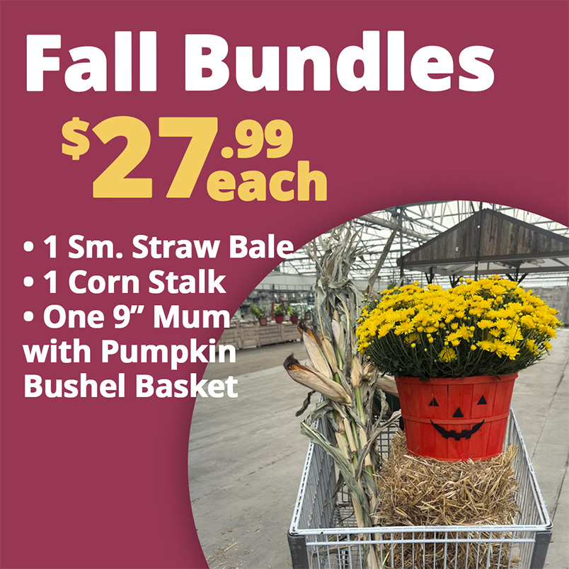 GF26_FallPorch2