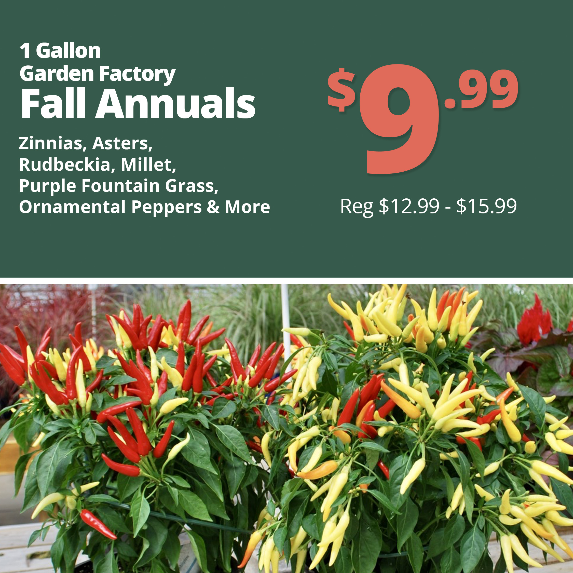 GF26_FallPorch3