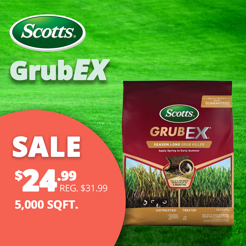 GF26_Grubex_1