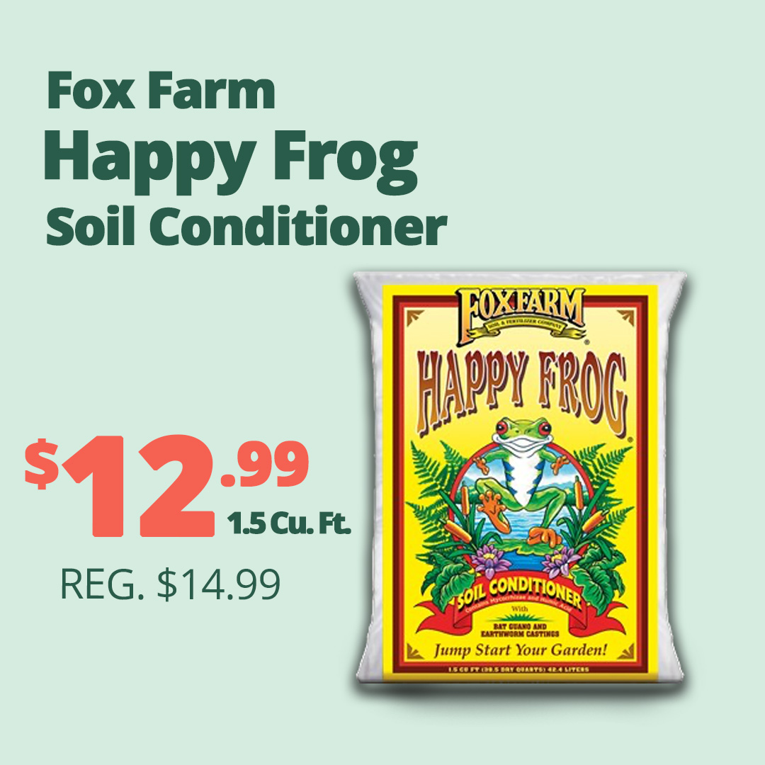 GF26_HappyFrog