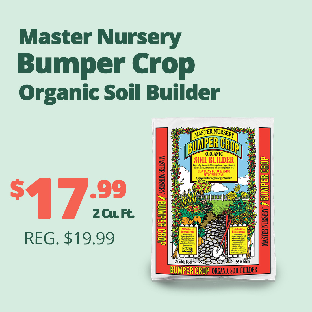 GF26_MasterNursery