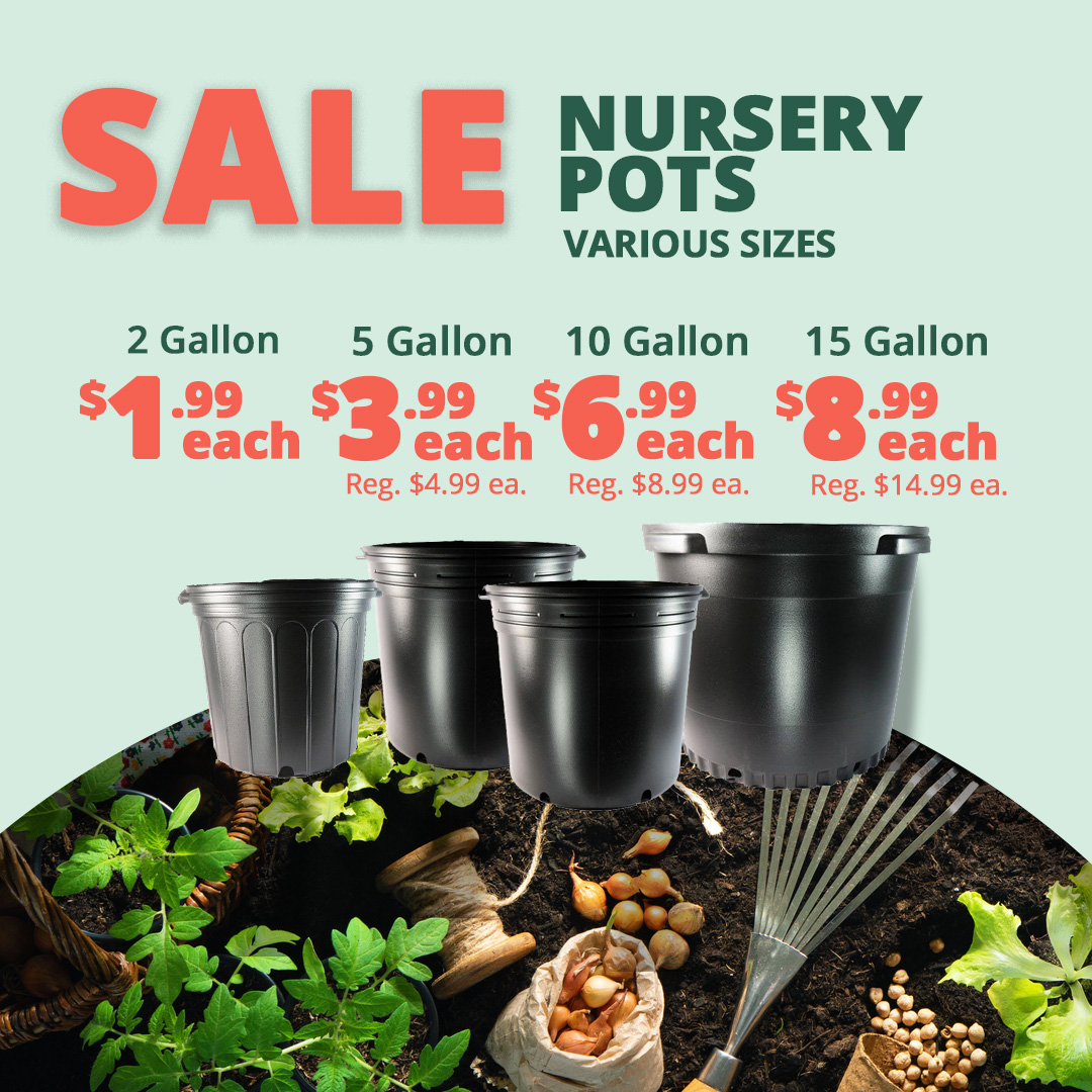GF26_NurseryPots