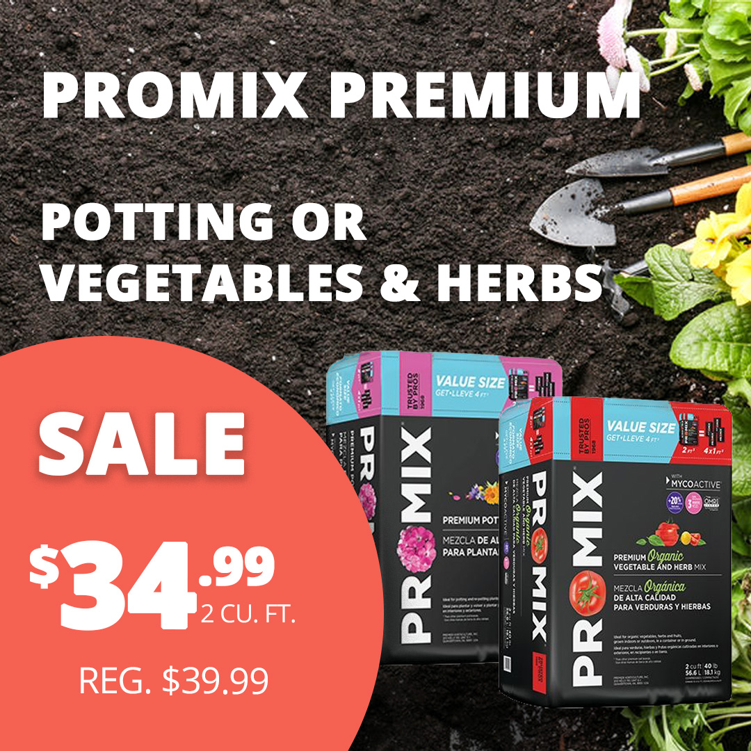 GF26_PromixPremium_1