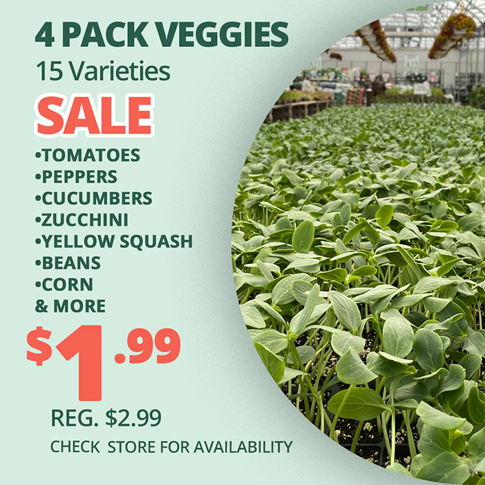 GF26_Veggies4pk