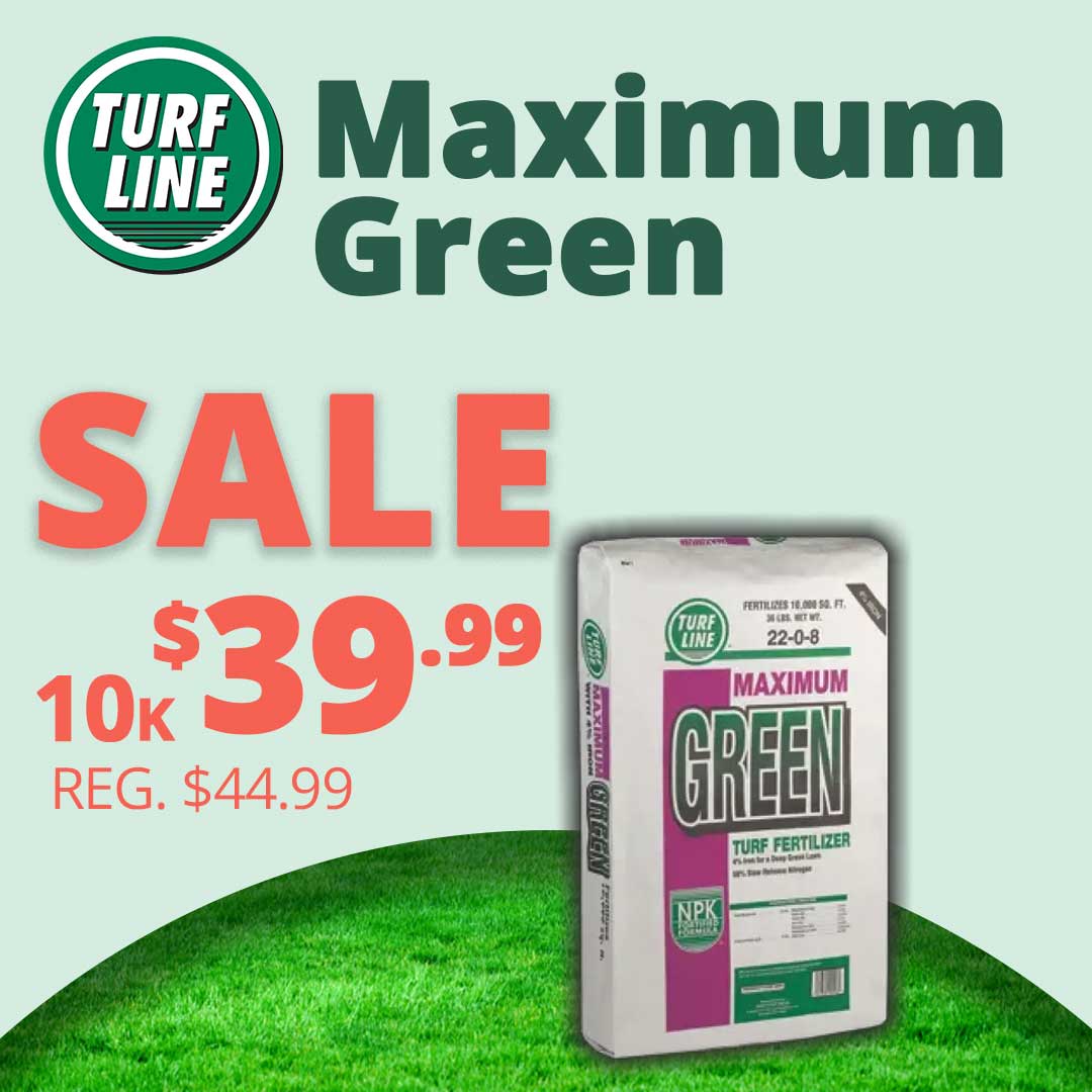 Max-Green-10K