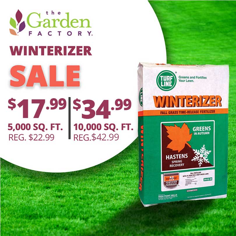 Winterizer-2026