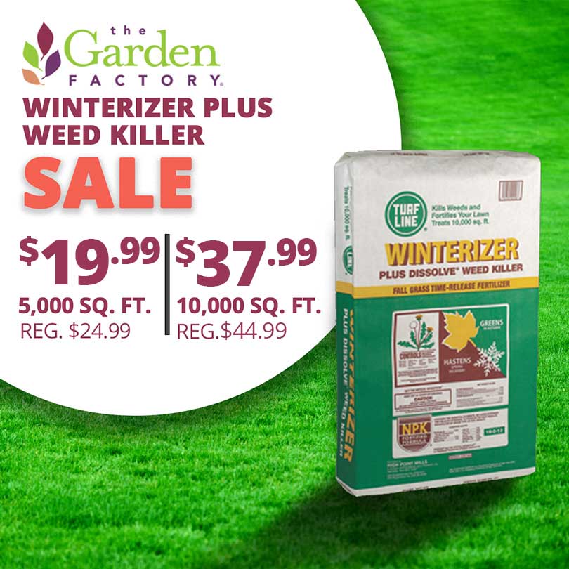 Winterizer-plus