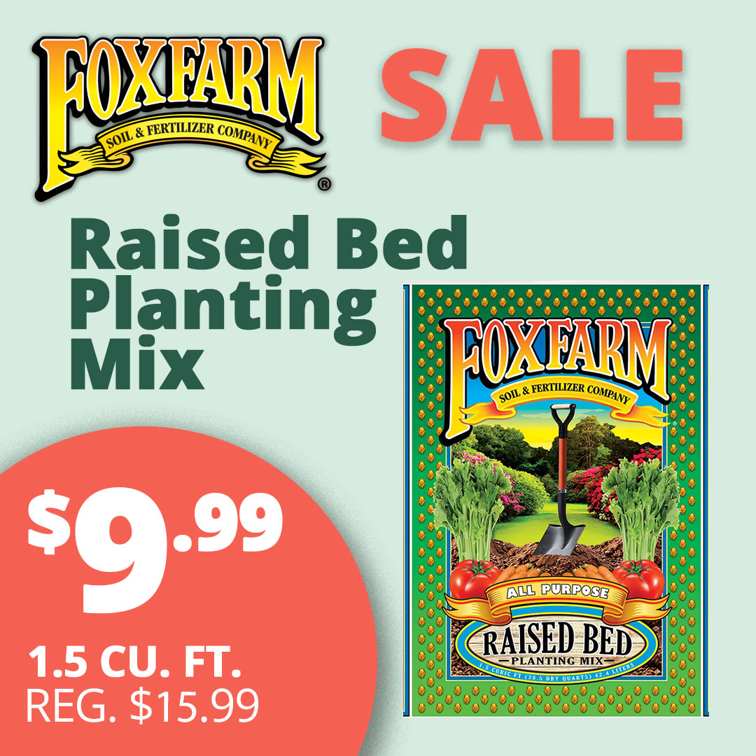 fOX-fARM-rAISED-bED-mIX