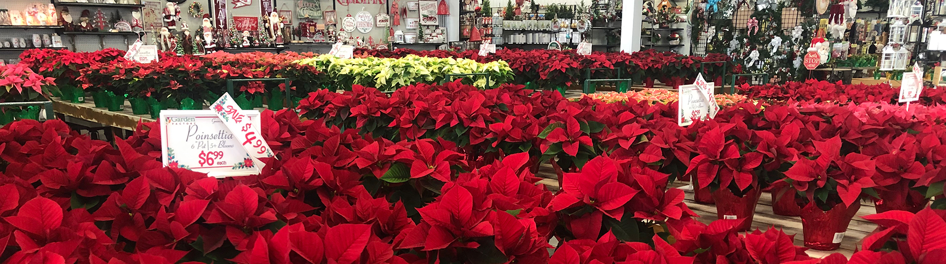 Gardening Items Near Me