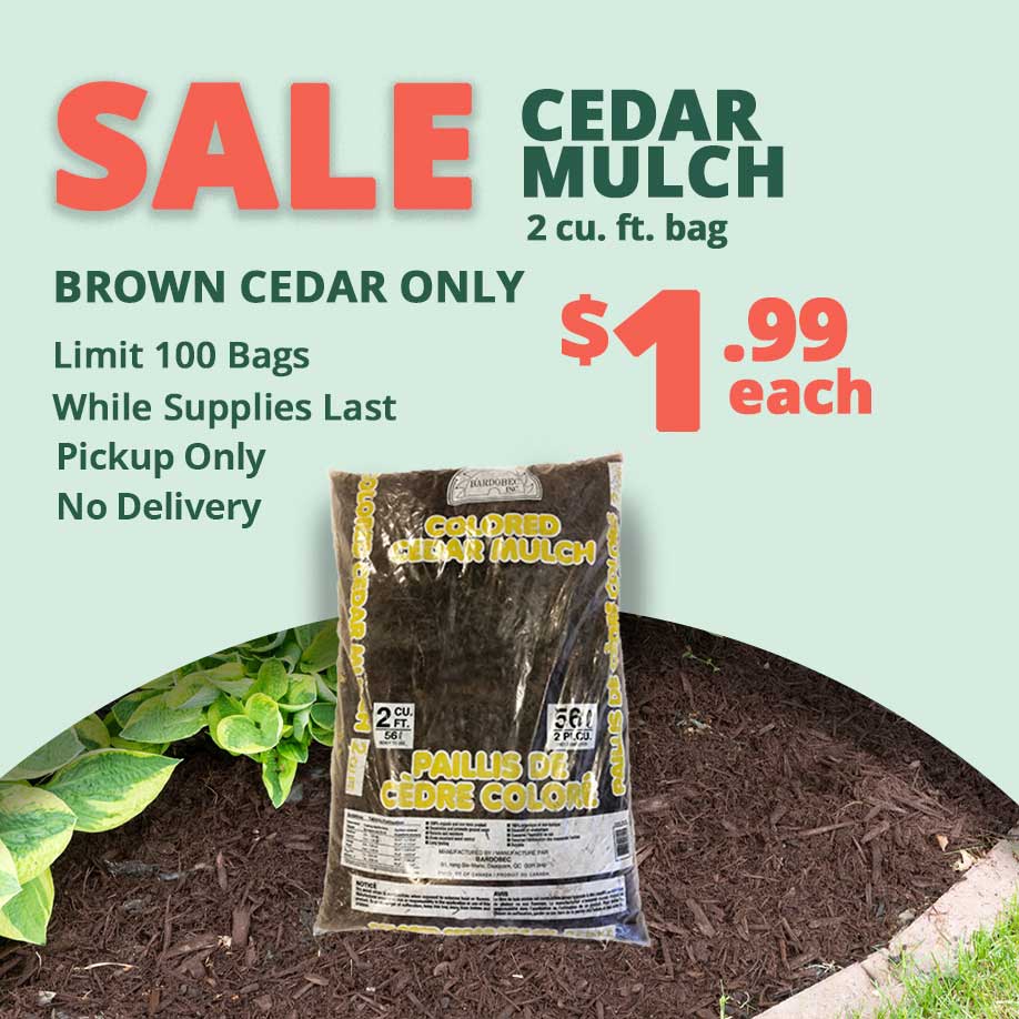 GFBrownCedarMulch_1