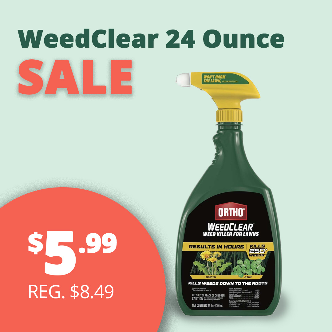 GF_24WeedClear23