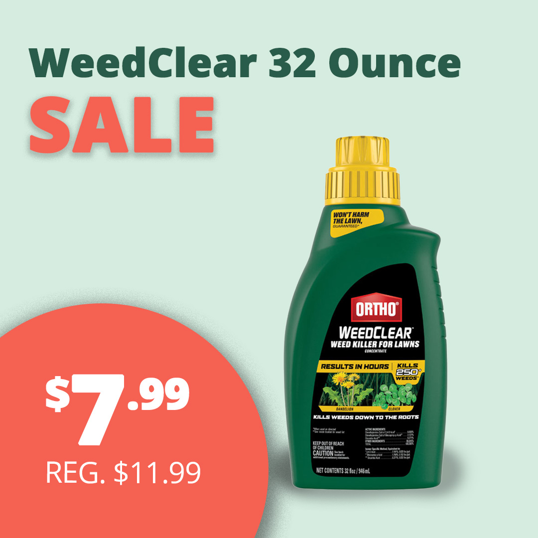 GF_32WeedClear23