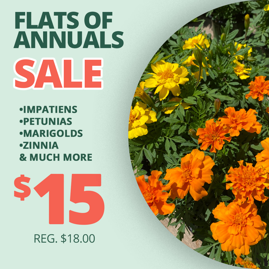 GF_Annuals2-23