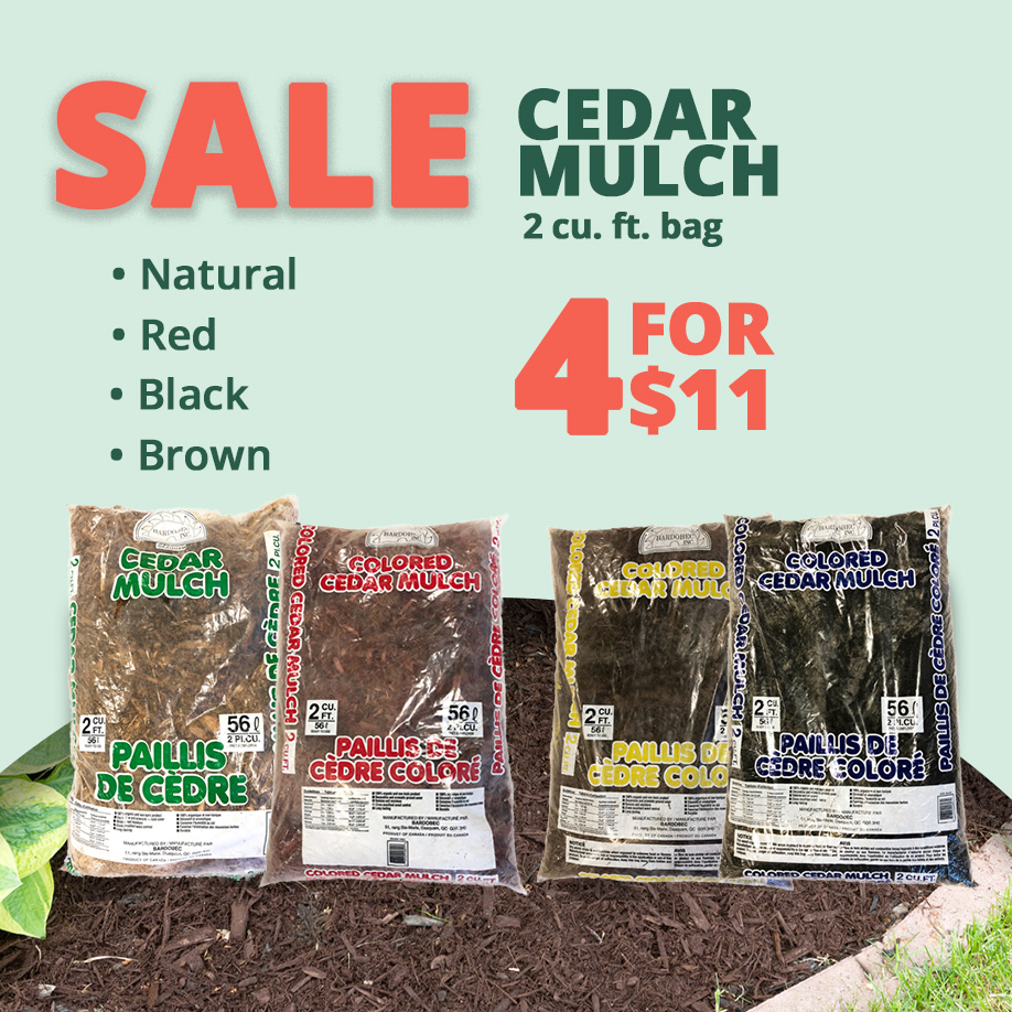 GF_CedarMulch23
