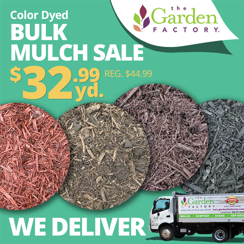 GF_ColorMulch23