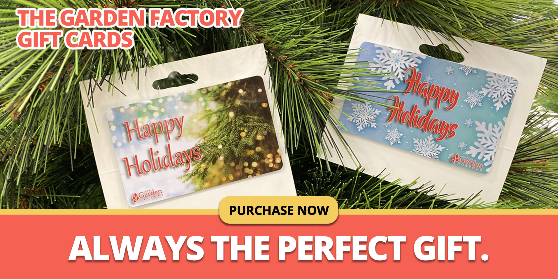 GF_GiftCards23