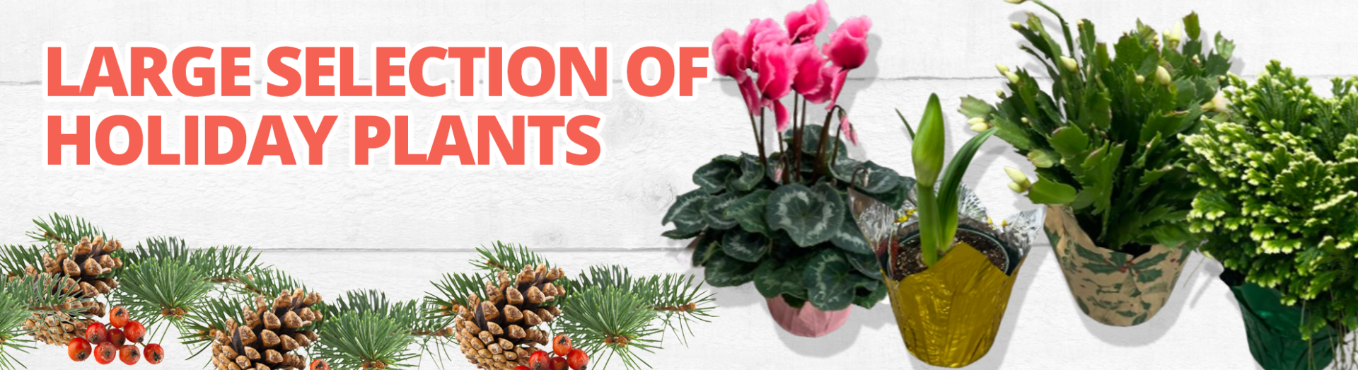 GF_Plantsbanner23