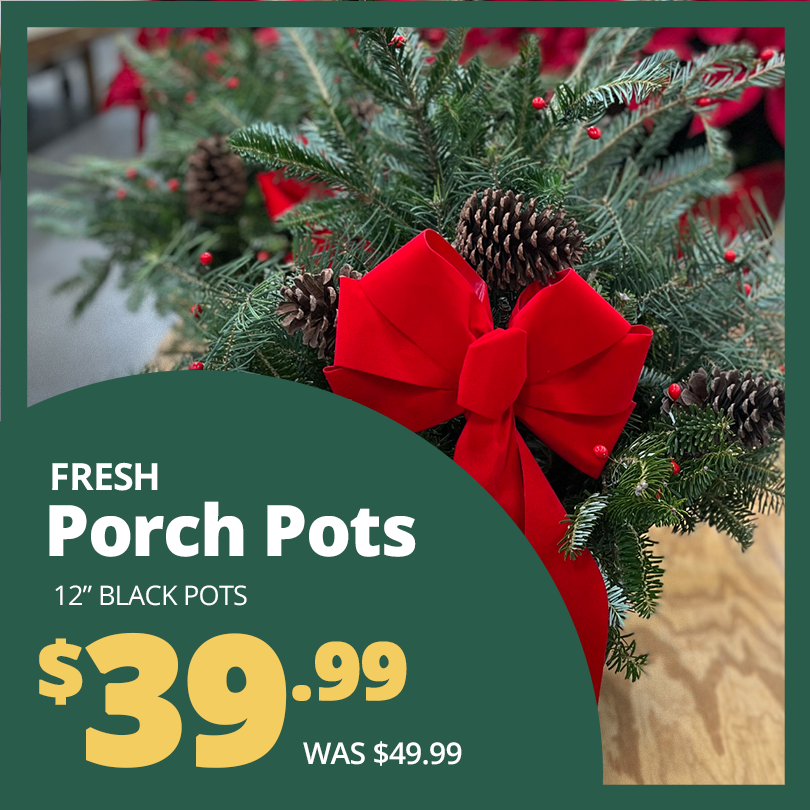 GF_PorchPots23