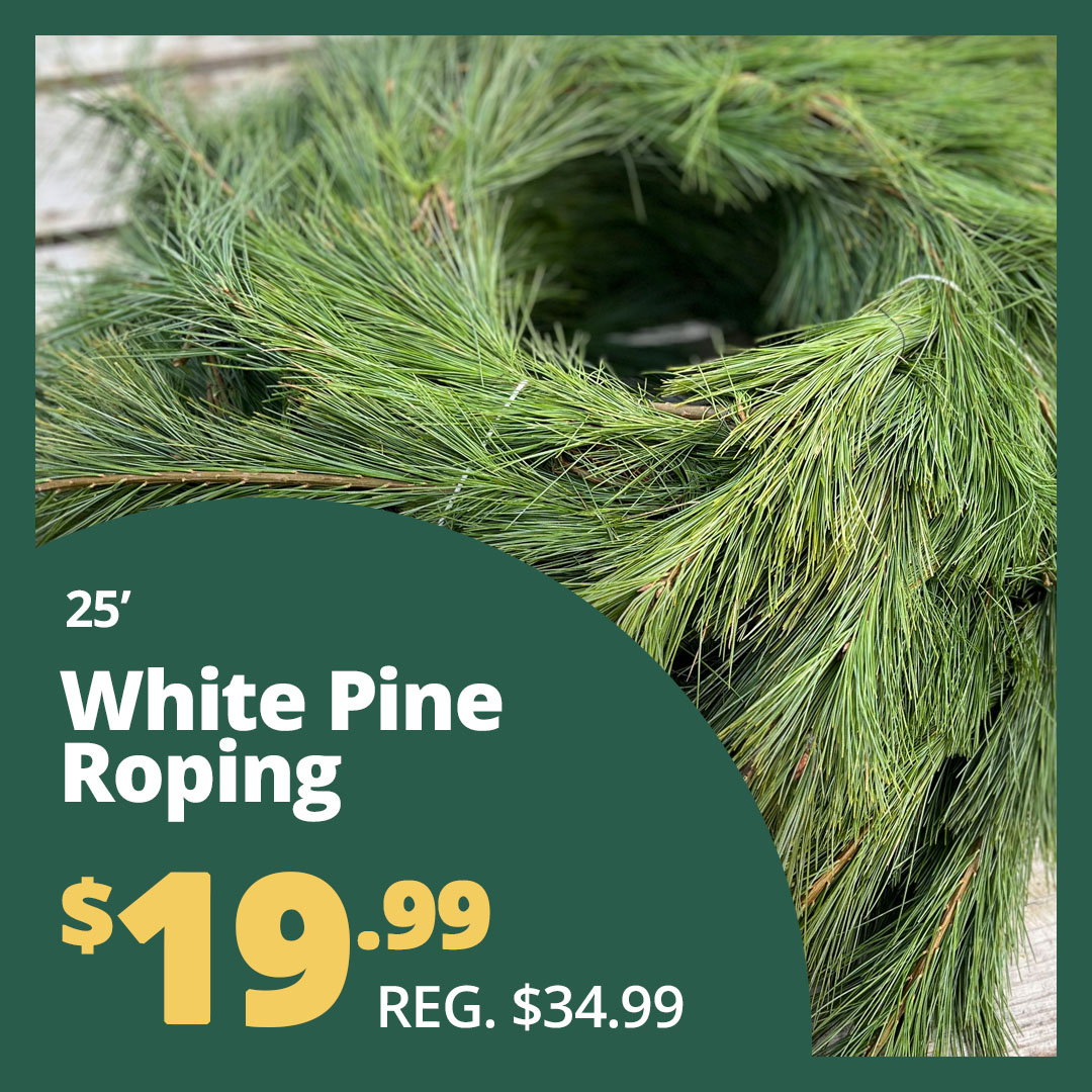 GF_Rope23-2