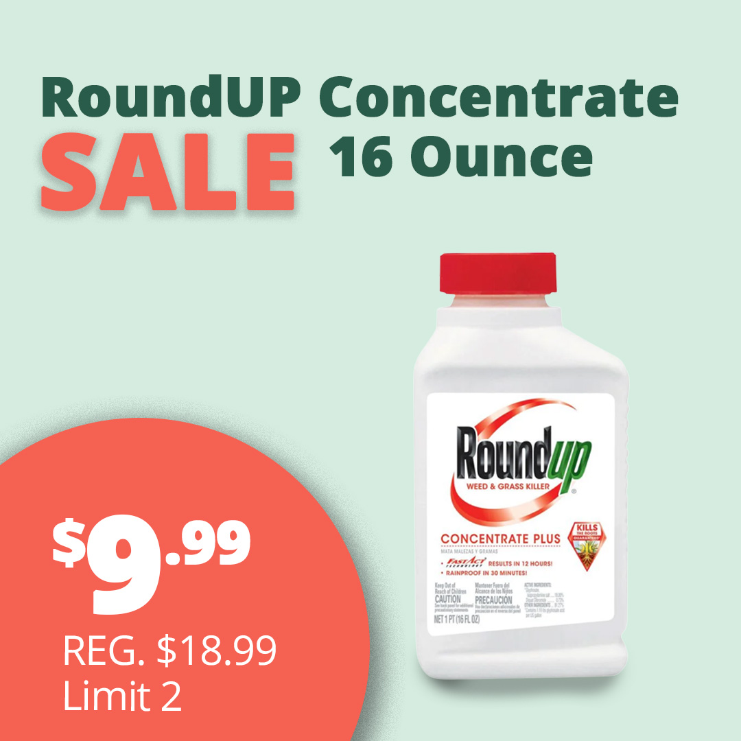 GF_RoundupConcentrateMay23